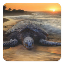 Sunset Sea Turtle Sticker