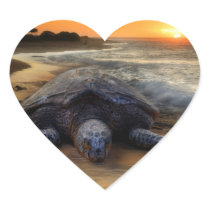 Sunset Sea Turtle Sticker