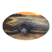 Sunset Sea Turtle Sticker
