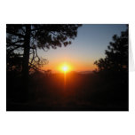 sunset silouettes 1 cards