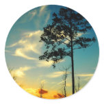Sunset Sky Sticker