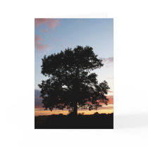 Sunset Sliver Greeting Card