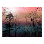Sunset Solitude Gothic Landscape Fantasy Postcards