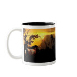 Sunset Stallion Mug