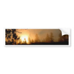 Sunset Sunshine Bumper Stickers