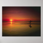 Sunset Surfer by TDGallery posters