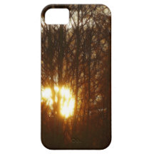Sunset Through Forest Nature Scenery iPhone 5 Case