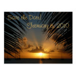 Sunset Through Palm Fronds Save the Date Postcard