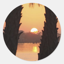 Sunset Through the Palm Trees Stickers