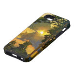Sunset Through the Pines iPhone 5 Cases