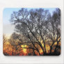 Sunset through the Trees Art Mousepads