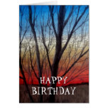 Sunset thru' trees greeting card