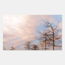 SUNSET TREES IN WINTER RECTANGLE STICKERS