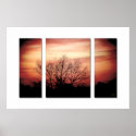 Sunset Triptych~ Tree posters