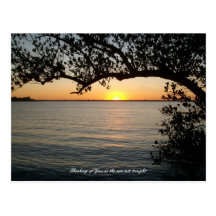 Sunset under tree postcards