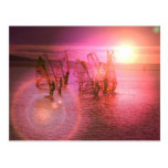 Sunset Windsurfing Postcard