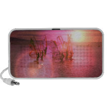 Sunset Windsurfing Speakers