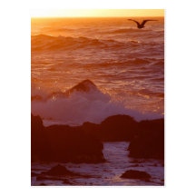 Sunsets Ocean Postcards