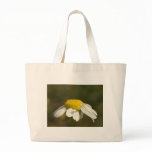 Sunshine bags