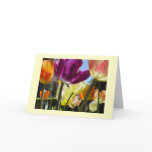 Sunshine Card