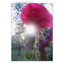Sunshine Flower Card