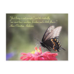 "Sunshine, Freedom, Flower" Butterfly Quote postcards