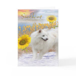 Sunshine My American Eskimo Greeting Card