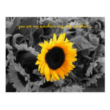 Sunshine post card