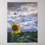 Sunshine posters