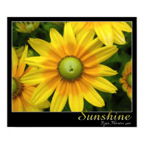Sunshine posters