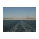 Sunshine Skyway Bridge postcards