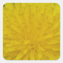 Sunshine Square Sticker