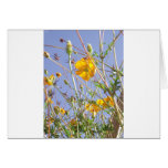 Sunshine Yellow Card