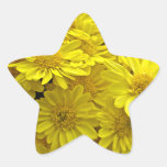 Sunshine Yellow Chrysanthemums Star Stickers