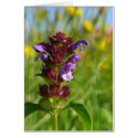 Sunshiny day blossoming flower cards