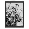 SunSuzi Designs- Oatman Burro by Lessandra Grimley cards