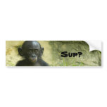 Sup? DArcy Evans Photo bumper stickers
