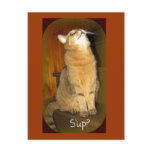 S'up? postcards