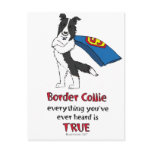 Super Border Collie Black postcards