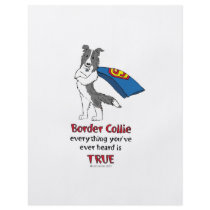 Super Border Collie blue merle Full Color Flyer