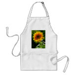 Super Bright Sunflower aprons
