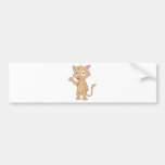 Super Cute Kitten Bumper Stickers