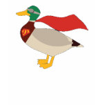 Super Duck Shirt