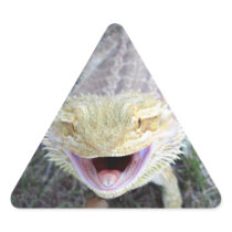 Super Happy Bearded Dragon Stickers