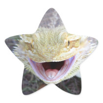 Super Happy Bearded Dragon Star Stickers