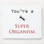 Super Organism