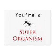 Super Organism