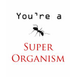 Super Organism t-shirts