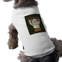 Super Rat Pet Clothes