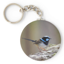 Superb Fairy-wren Keychains